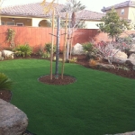 Synthetic Grass 25