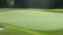 Synthetic Putting Greens Give the Same Look and Feel of Natural Golf Greens Tested to the highest standards, a synthetic putting green at your home is not only a beautiful […]