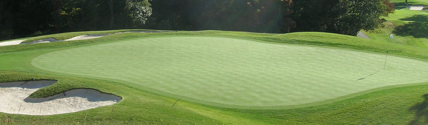 Synthetic Putting Greens Give the Same Look and Feel of Natural Golf Greens Tested to the highest standards, a synthetic putting green at your home is not only a beautiful […]